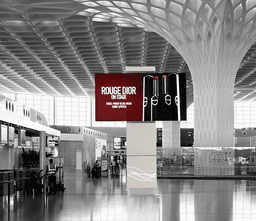 Domestic & International Check In- T2