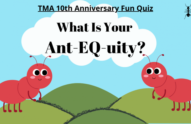 What Is Your Ant Eq Uity