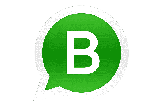 Whatsapp Business Removebg Preview