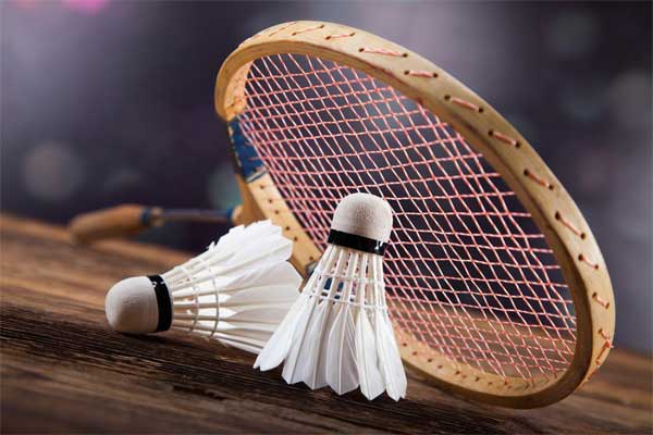 Racket And Shuttle