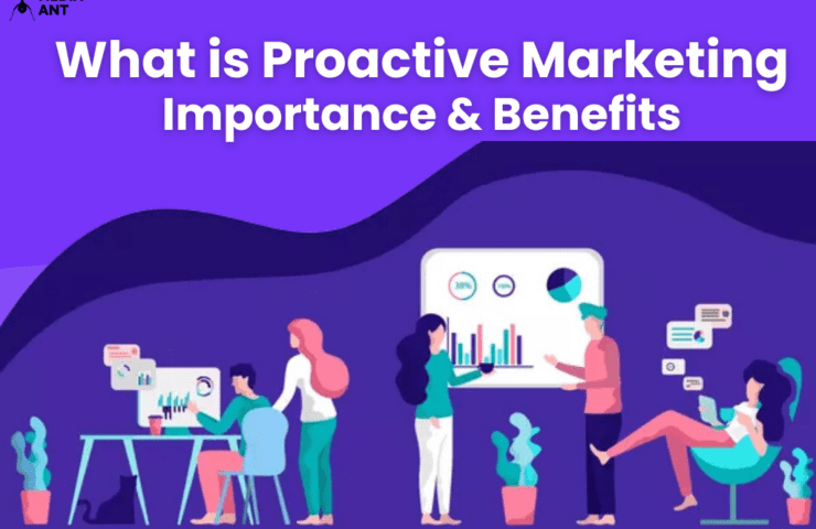 What Is Proactive Marketing: Importance &Amp; Benefits