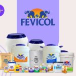 Fevicol